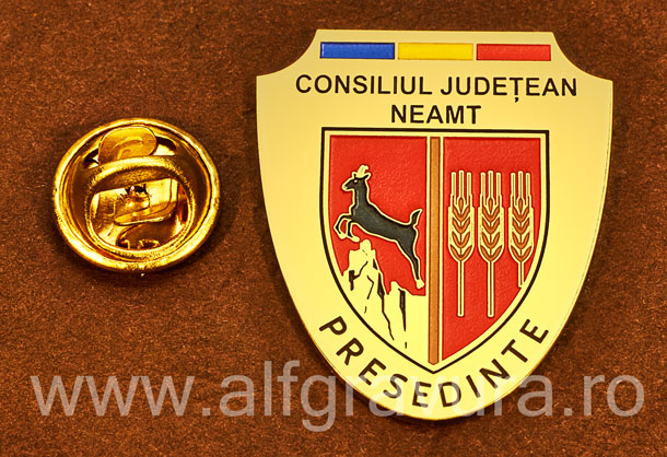 Insigna gravata alama Presedinte Consiliul Local Neamt