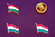 Insigne steagul Ungariei